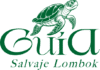 Guía Salvaje Lombok